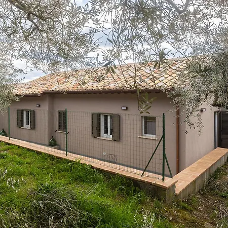 Lombardi Rita - Colle S. Martino * Assisi