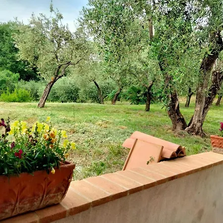 Lombardi Rita - Colle S. Martino * Assisi